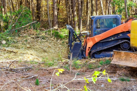 forestry mulcher clearing dense brush in Branch County Michigan